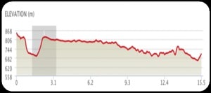 day 4 profile