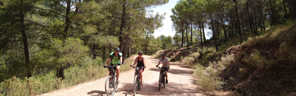 Family bike riding in El Burgo Spain