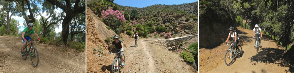Mountain biking in Spain National Park Sierra de las Nieves of Andalucia