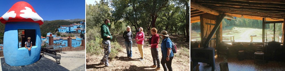 Minibus tour from Ronda to Juzcar and Sierra de la sNieves for Nature tour and local food