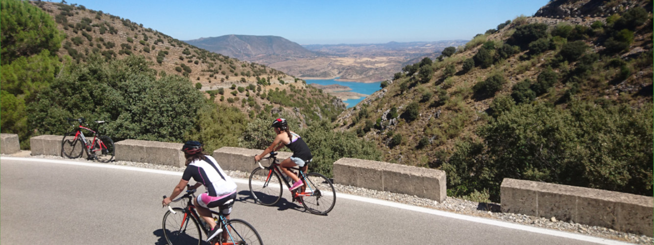 Cyclists enjoying our Classic Road Cycling Holiday in Ronda Andalucia Spain