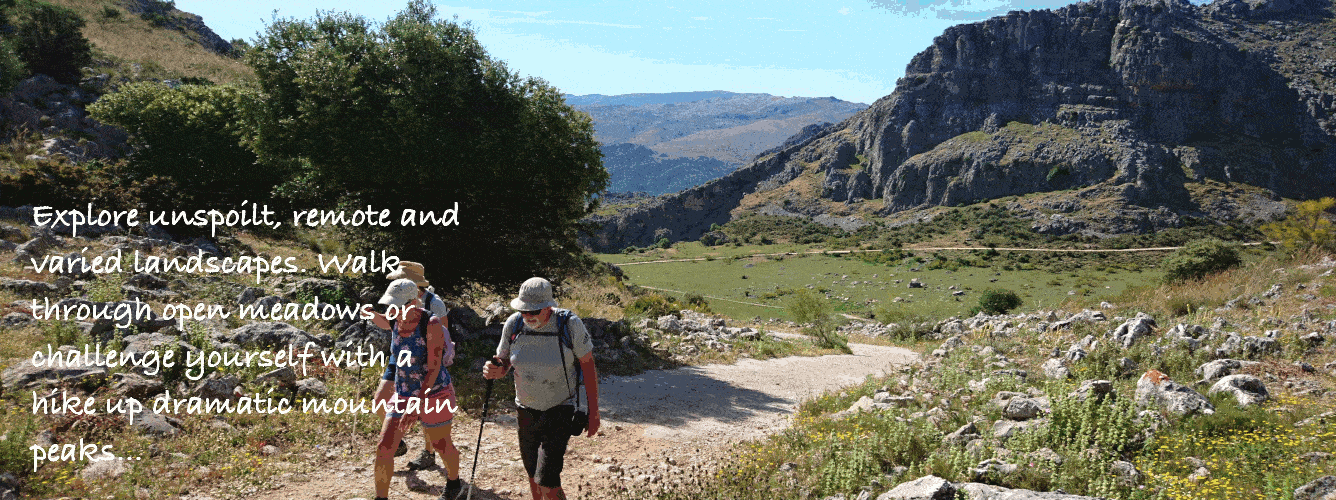 Walking holidays in Spain and self guided walking tours Serrania de Ronda Spain