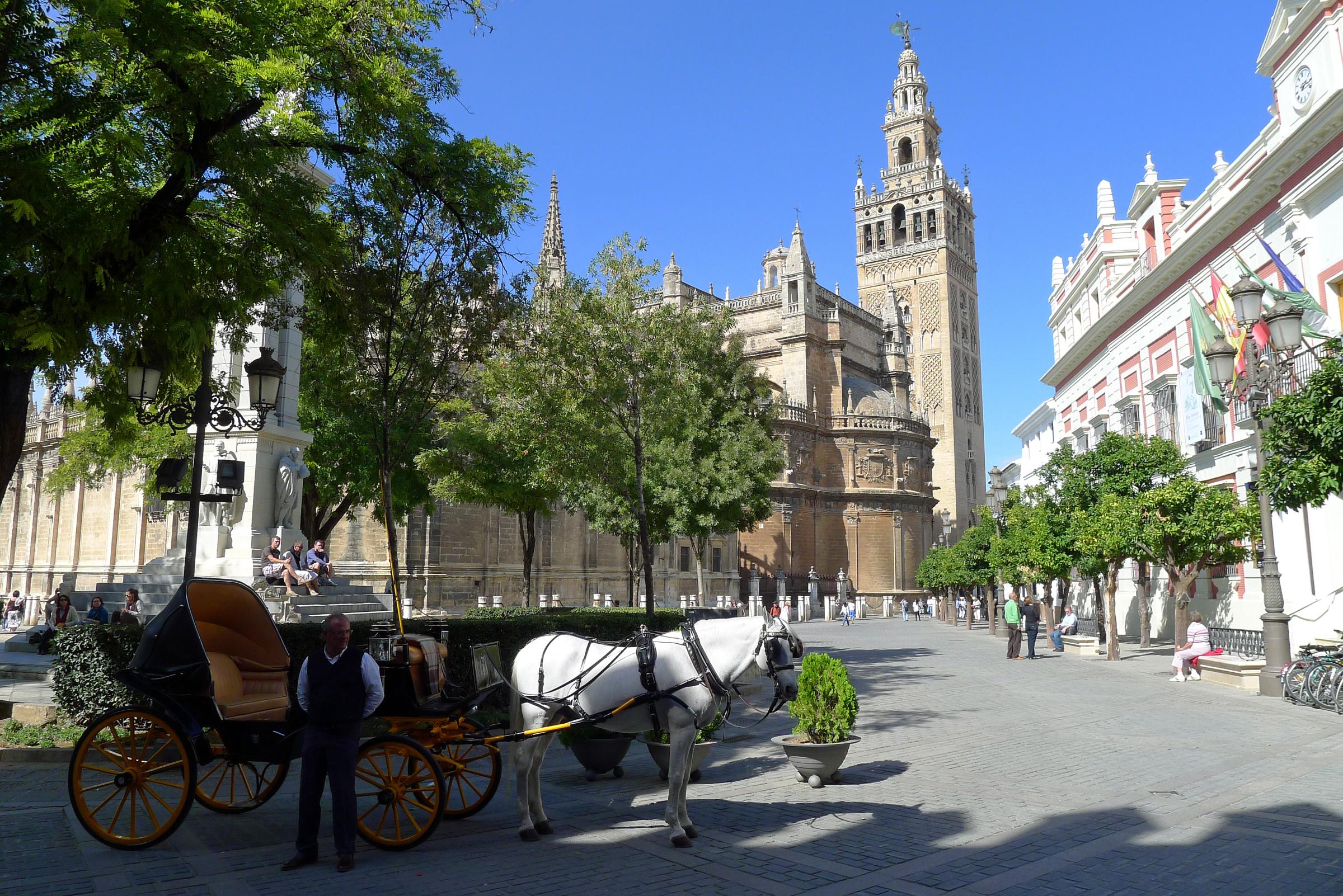 Seville cathedral