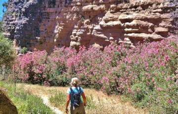 walking in the tajo del abanico