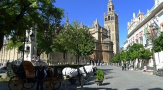 Ronda to Sevilla cycling tour in Andalucia Spain