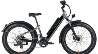 The go anywhere do anything electric bike for women