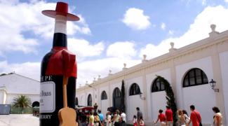 CYCLING TOUR IN SHERRY TRIANGLE CADIZ