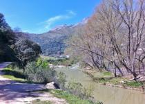 Along the Guadiaro river