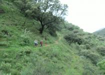 Benaojan to Jimera