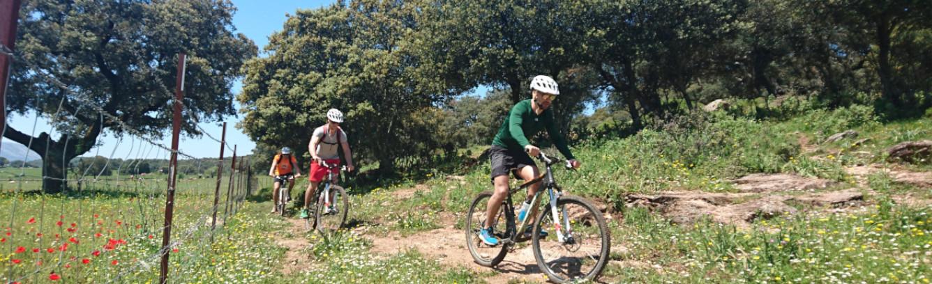 riding a mountain bike tour in grazalema natural park andalucia