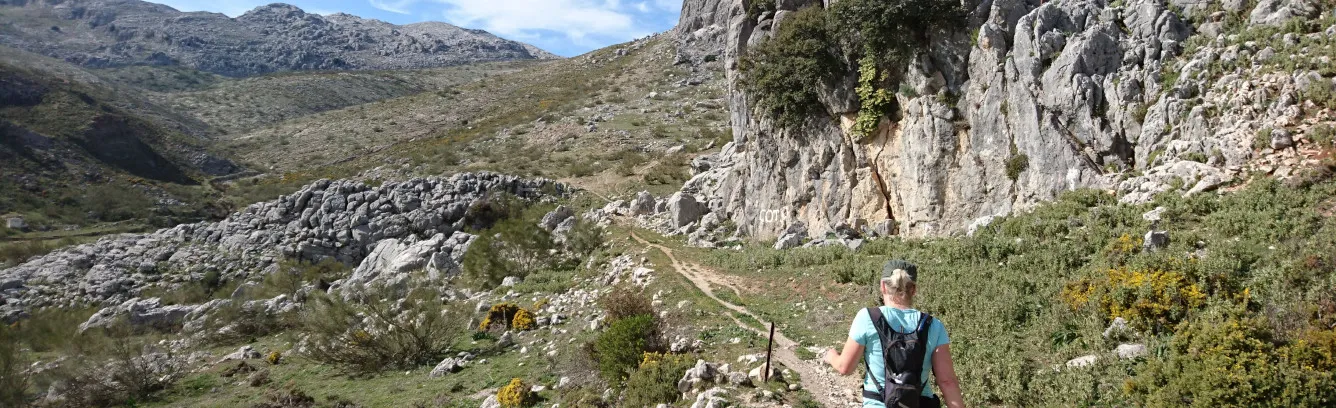walking tours spain